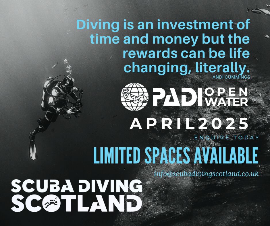 ⭐PADI Open Water Course⭐ THINKING OF LEARNING TO SCUBA DIVE IN 2025? 🤔