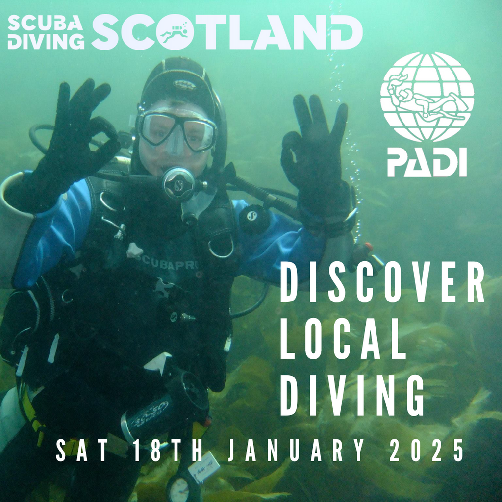 PADI Discover Local Diving (DLD) - Saturday 18th Jan 2025