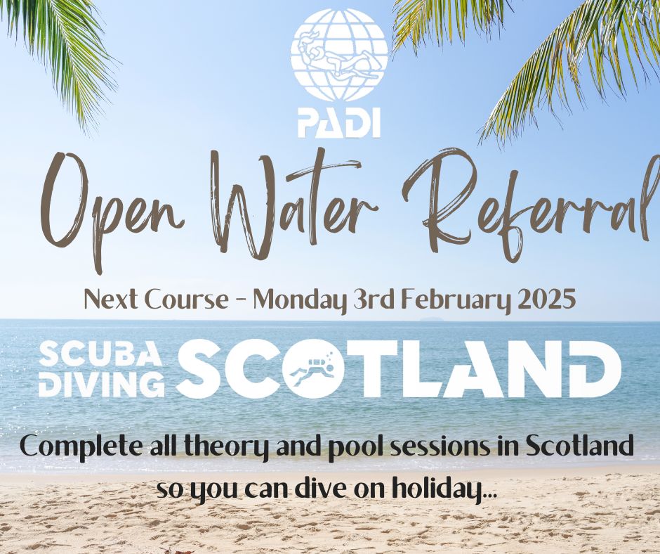 Spaces Available - PADI Open Water Course February 2025