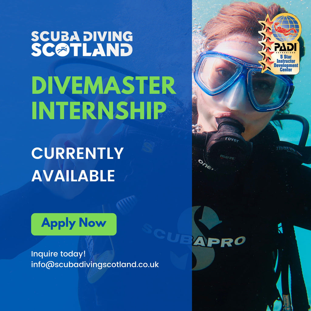 PADI Divemaster Internships 2025